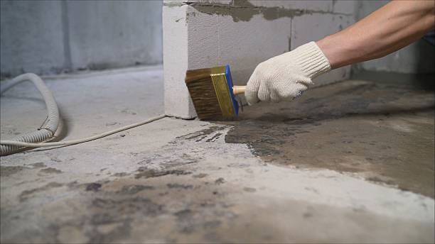 SJ Waterproofing Pros Waterproofing coverage map for Economy, IN and surrounding area